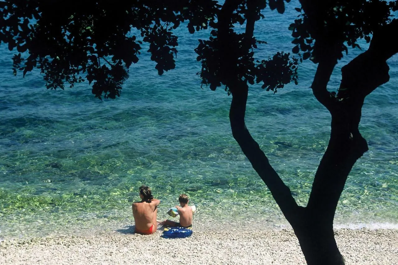 Studio Apartment Sofia - Quiet Oasis In The Heart Of Poreč