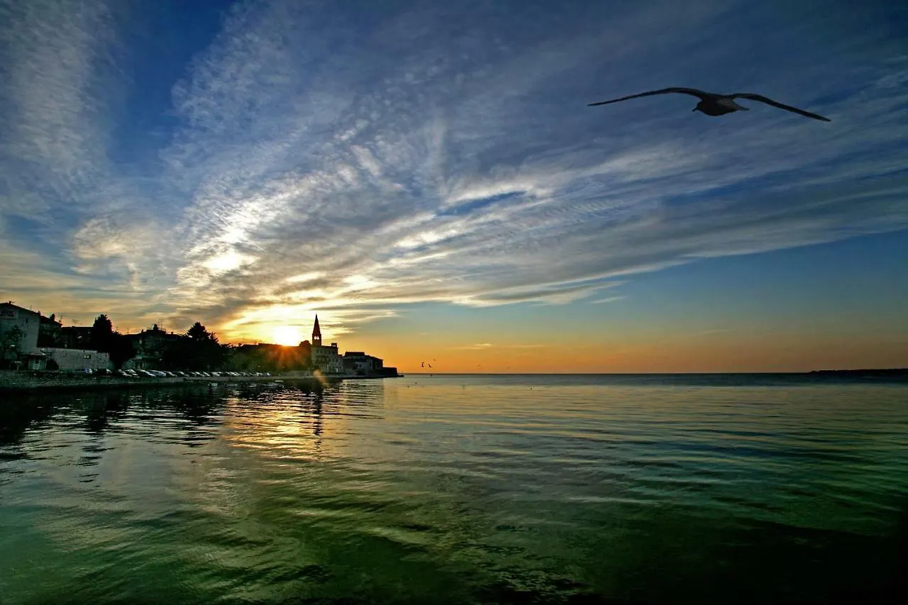 Studio Apartment Sofia - Quiet Oasis In The Heart Of Poreč